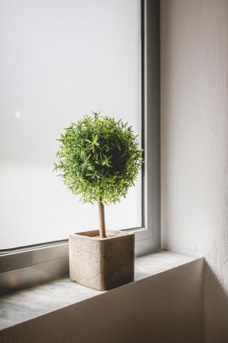 a potted plant sitting on a window sill at Votsalo Tolo in Tolo