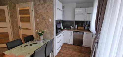 Kuchyňa alebo kuchynka v ubytovaní Apartament-Studio Polana Szaflarska