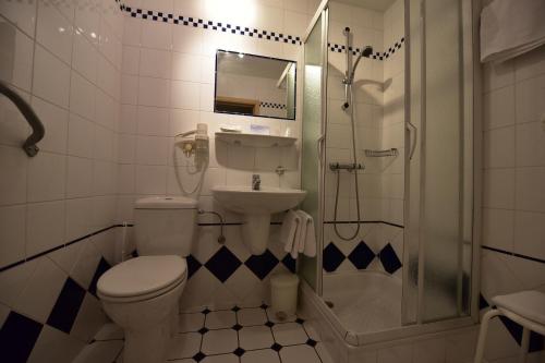 uma casa de banho com um WC, um lavatório e um chuveiro em Hôtel Moulin de la Strument em La-Roche-en-Ardenne