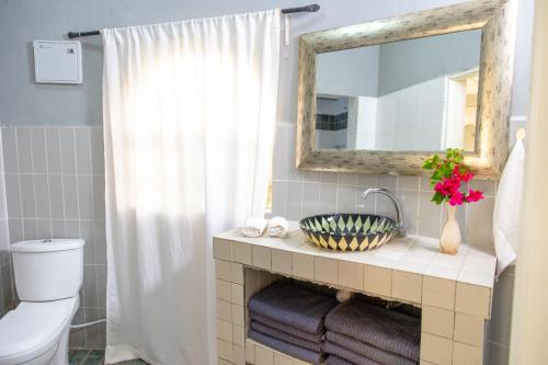 W łazience znajduje się umywalka, lustro i toaleta. w obiekcie Afro Garden Hotel w mieście Sere Kunda
