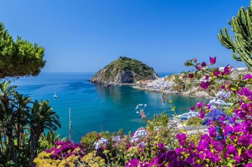 a view of a bay with purple flowers at Il Vicoletto sul Mare in Ischia