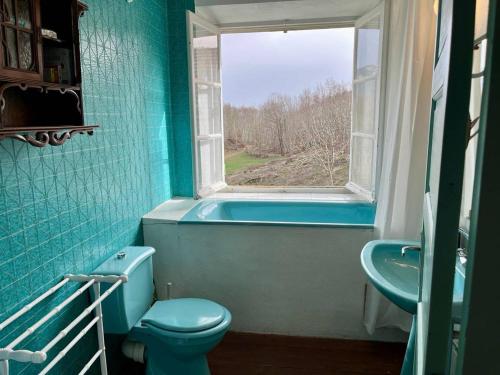 uma casa de banho azul com um WC e uma janela em Maison Rencurel, 8 pièces, 15 personnes - FR-1-548-44 em Rencurel