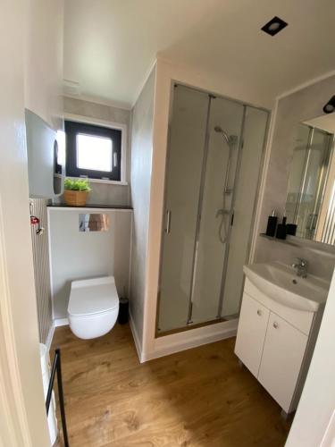 a bathroom with a toilet and a shower and a sink at Przytulne Kątno in Kątno
