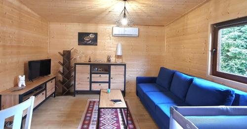 a living room with a blue couch and a tv at Tymek - domek in Miłakowo
