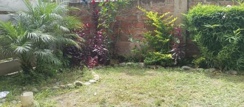 un jardin avec des plantes et un mur en briques dans l'établissement Nuevo y exclusivo departamento de 2 habitaciones, à Loja