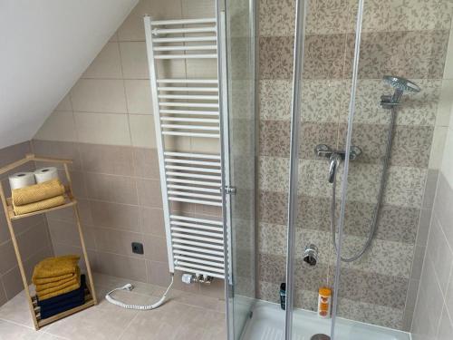 y baño con ducha y puerta de cristal. en Apartmány Větrná 29, en Malšín