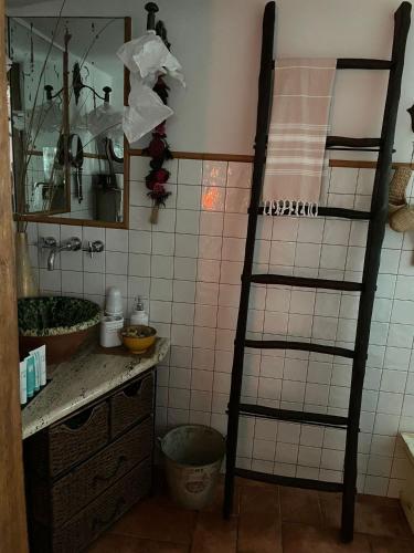 La salle de bains est pourvue d'une échelle et d'un lavabo. dans l'établissement La casina di Simo, à Montenero