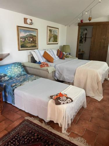 une chambre d'hôtel avec deux lits et un canapé dans l'établissement La casina di Simo, à Montenero