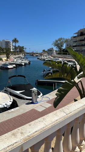 a marina with a boat in the water with boats at ALISA COSTA BLANCA in Platja de l'Arenal