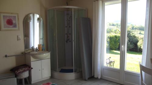 ein Bad mit einer Dusche, einem Waschbecken und einem Spiegel in der Unterkunft Chambres d'Hôtes Le Belvédère in Bagnères-de-Bigorre