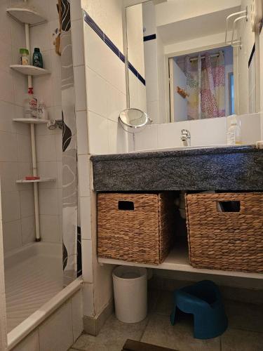 une salle de bain avec un lavabo, un miroir et une douche dans l'établissement OREE DU GOLF I Joli T3 proche golf piscine Cap d Agde, au Cap d'Agde