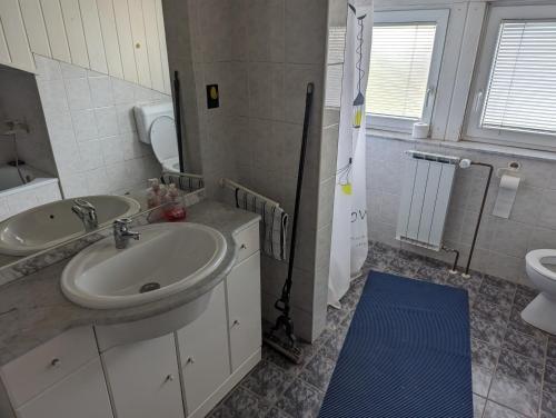 a bathroom with a sink and a toilet at Dragon's Lair in Celje