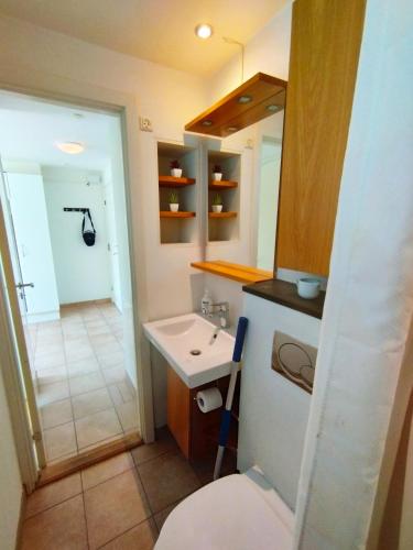 a small bathroom with a sink and a shower at 144Nygårdsvej (id.168) in Esbjerg