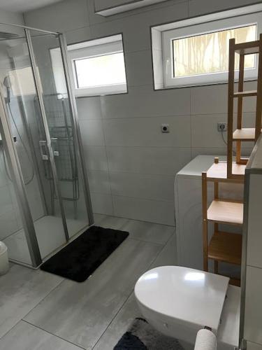 a bathroom with a shower and a white toilet at Ferienwohnung, Thüringen 