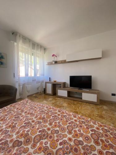 een woonkamer met een televisie en een groot tapijt bij Sole , Neve e Relax in Clusone