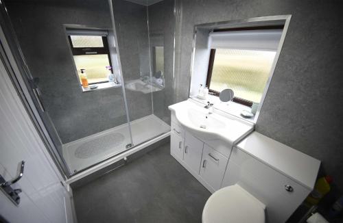 a bathroom with a toilet and a sink and a shower at Bramble Cottage in Ollach
