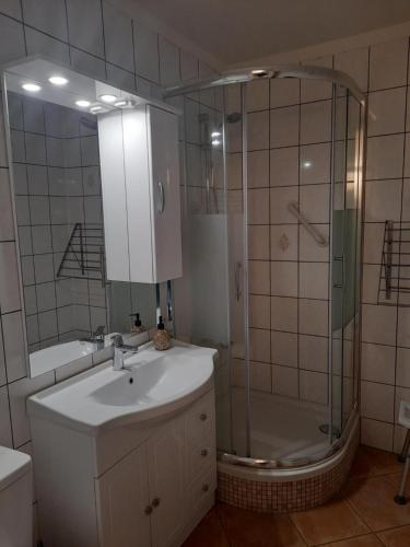 a bathroom with a shower and a sink and a mirror at Kalifornia258 in Schönberg in Holstein