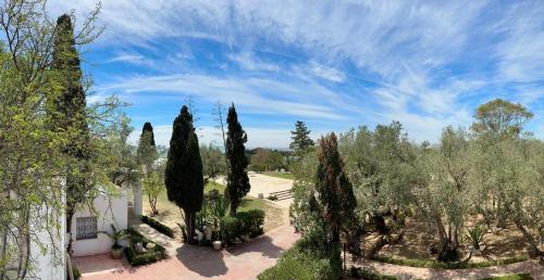 an image of a garden with cypress trees at Suite Noor B&B Pool SidiBouSaid in Sidi Bou Saïd