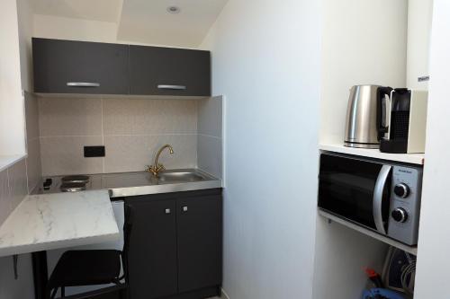 une petite cuisine avec un évier et un micro-ondes dans l'établissement Bleu Ciel Notre Dame De la Garde-Gare de St Charles Marseille, à Marseille