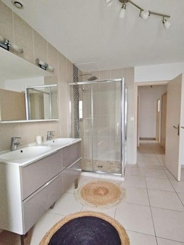 une grande salle de bain avec douche et lavabo dans l'établissement Villa Beaumont, à Bourges