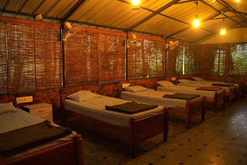 a group of beds in a room with windows at Rancho Farmstay in Sultan Bathery