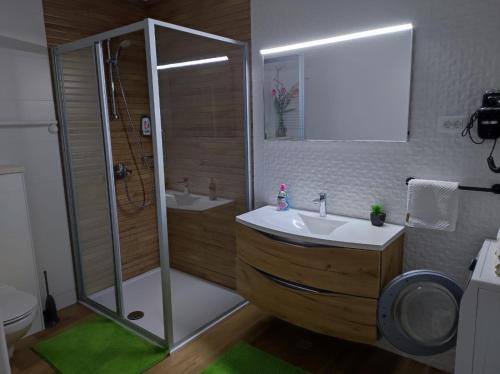 Apartment Mareta in Viganj في فيغاني: حمام مع مرحاض ومغسلة ودش