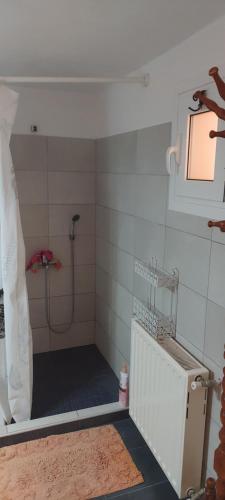 a small bathroom with a shower and a sink at LENA'S SWEET HOME in Artemida