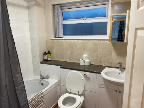 een badkamer met een toilet en een wastafel bij swane house in Brislington