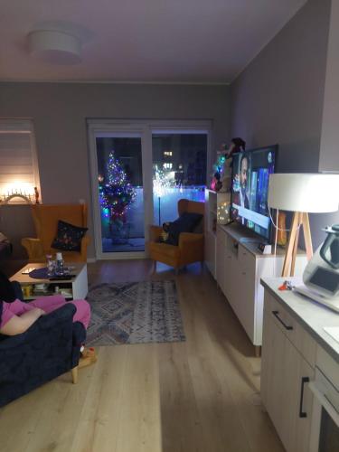 uma sala de estar com uma árvore de Natal na janela em Apartament Ząbki em Zabki