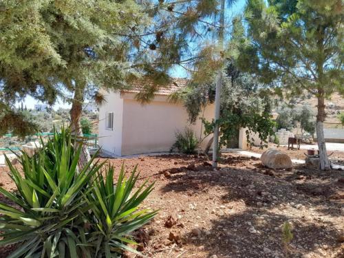 un pequeño edificio blanco en un patio con árboles en Jerash Roman Gate Shalea شاليه بوابة جرش الرومانيه الشماليه, en Jerash