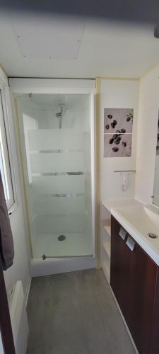 une salle de bain avec une douche en verre et un lavabo dans l'établissement Mobilhome 6 personnes 32m2, à Parentis-en-Born