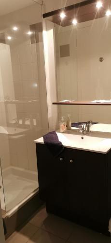 La salle de bains est pourvue d'un lavabo et d'une douche. dans l'établissement Studio, à Avignon