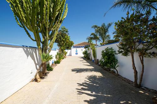 VILLA YUCA CON PISCINA PRIVADA en CONIL DE LA FRONTERA
