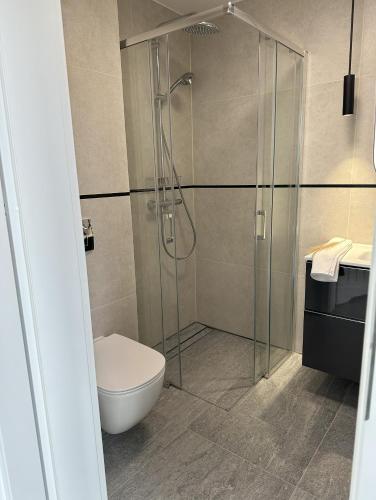 a bathroom with a toilet and a glass shower at Biała Woda in Suwałki