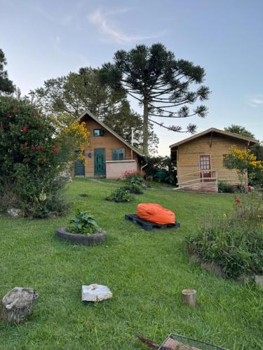 une cour avec une maison et une maison avec un arbre dans l'établissement Cabanas Luar adaptada, à São Francisco de Paula