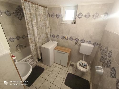 ein Bad mit einem WC, einem Waschbecken und einer Dusche in der Unterkunft Studio apartman Petra in Bakarac