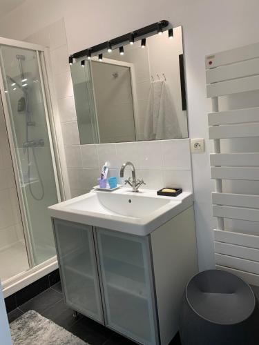 een badkamer met een wastafel, een douche en een spiegel bij Chambres dans maison d'architecte in Suresnes