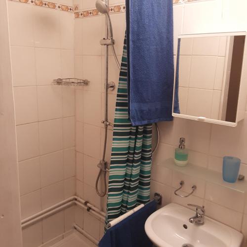 een badkamer met een douche, een wastafel en een spiegel bij Gästezimmer in Weimar