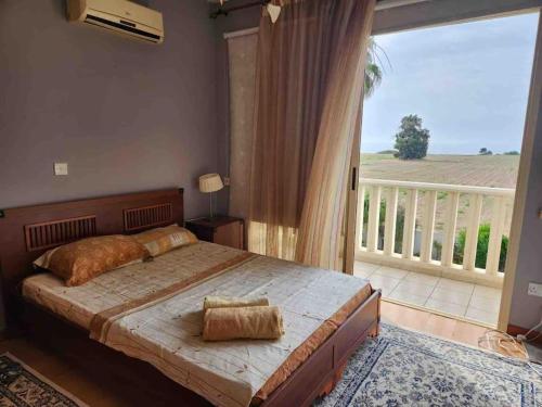 een slaapkamer met een groot bed en een balkon bij Budget Escape to the seaside in Larnaka