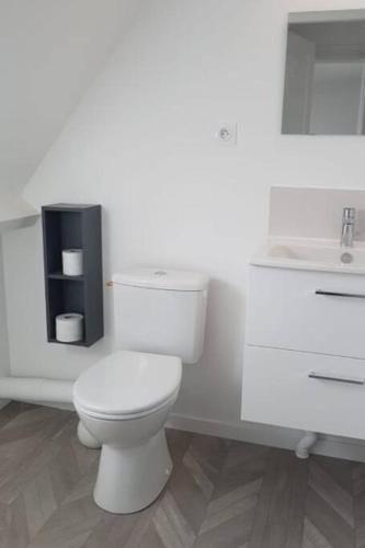 ein weißes Bad mit einem WC und einem Waschbecken in der Unterkunft Cosy appartement in Miniac-Morvan