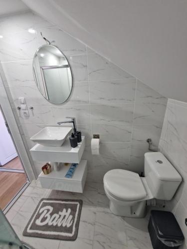 ein Badezimmer mit Toilette, Waschbecken und Spiegel in der Unterkunft Apartman Viking in Donji Milanovac