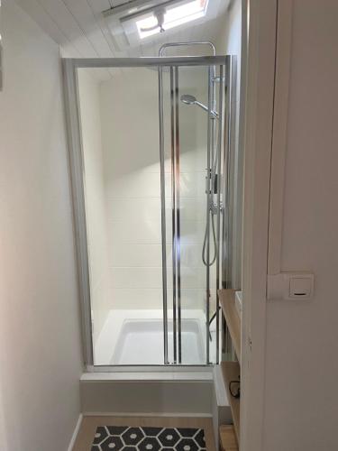 une salle de bain avec une douche avec une porte vitrée dans l'établissement Bel appartement, Oiseau 1, à Niort