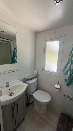 une salle de bain avec toilettes, lavabo et fenêtre dans l'établissement Sbvacances Mobil Home 3ch 2sdb sur Magnifique emplacement avec vue sur la forêt des landes, à Saint-Julien-en-Born