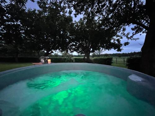 a hot tub with green water in a yard at Beech shepherds hut in York
