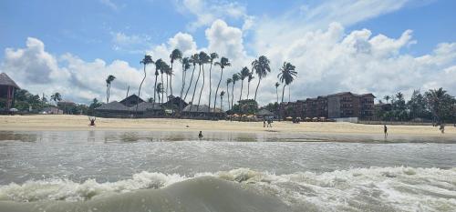 a beach with palm trees and the ocean at FRENTE MAR - Cumbuco - Eco Paradise in Cumbuco