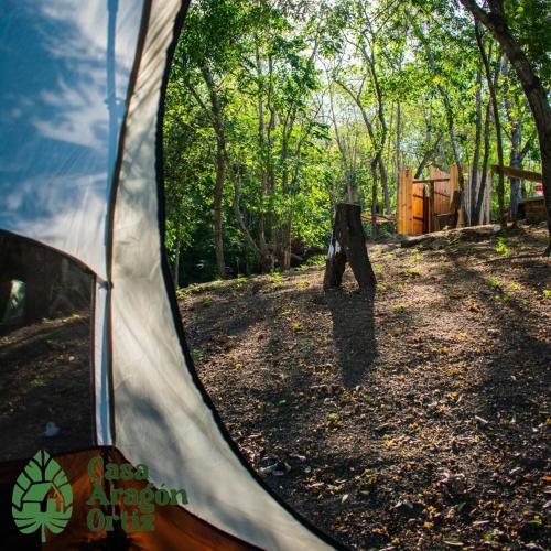 - une vue sur une tente dans les bois dans l'établissement Casa Aragón Ortiz 2, 