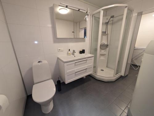 La salle de bains blanche est pourvue d'une douche et de toilettes. dans l'établissement Romslig leilighet, à Tromsø