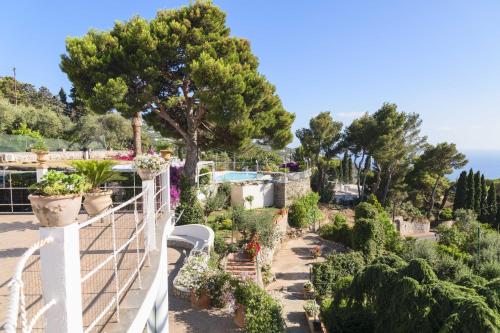 a balcony with a lot of plants and trees at La Canostra Capri - luxury ROOM ad Anacapri in Anacapri