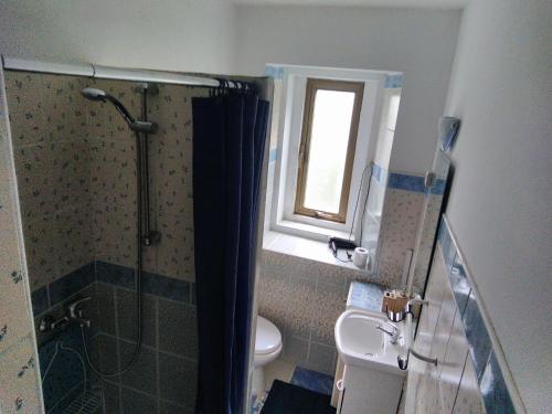 e bagno con doccia, servizi igienici e finestra. di G.VERGA 22 a Trieste