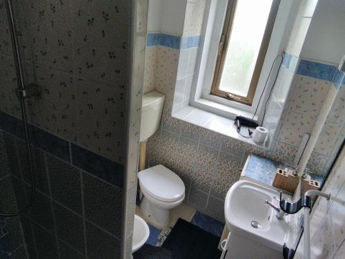 une petite salle de bain avec toilettes et lavabo dans l'établissement G.VERGA 22, à Trieste